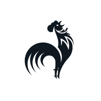 Galli Company s.r.o.