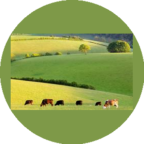 ОГБПОУ Томский аграрный колледж