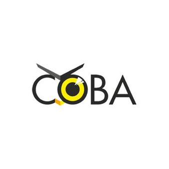 Компания Сова