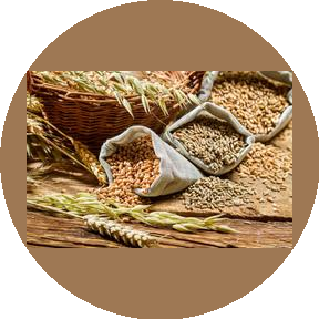 Хлебная база 35