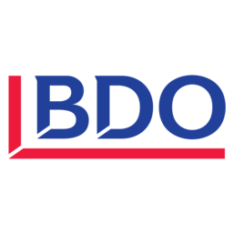 BDO IT consulting
