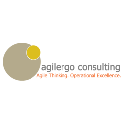 Agilergo consulting