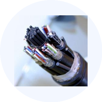 АвистаПлюс