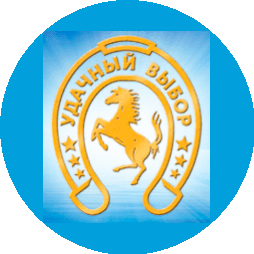 Удачный выбор Плюс