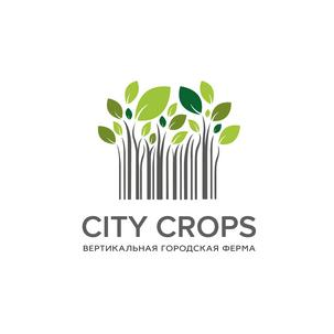 Линчевский Вадим Александрович