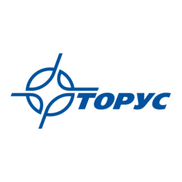 Торус, Группа компаний