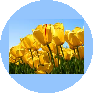 МДОУ детский сад №469