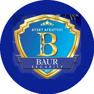 BAUR SECURITY