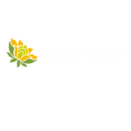 Sarflower