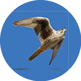 ГК ВОЗРОЖДЕНИЕ