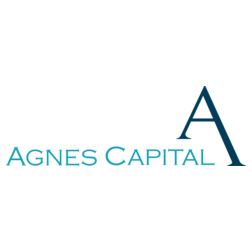 Agnes Capital (ИП Цейтлина О.А.)