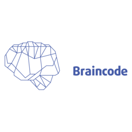 Braincode (ИП Кокин Виталий Олегович)