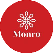 Обувная розничная сеть Монро (ИП Бирж Елена Александровна)