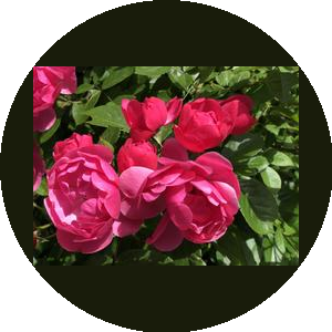 ПРОМЛОГИСТИК