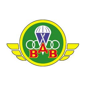 ВДВ-Консалтинг