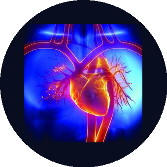 Центр Сердечно-сосудистой хирургии госпиталь Бурденко