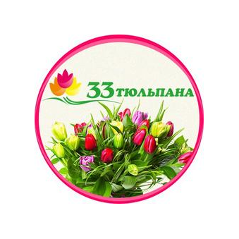 33 тюльпана
