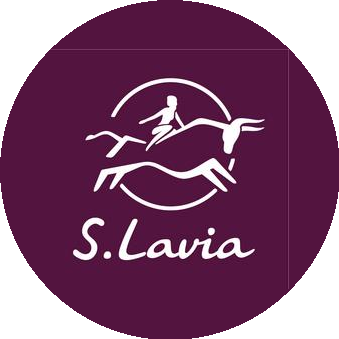 Фабрика сумок S.Lavia