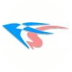 FelenaSoft Company Ltd.