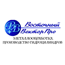 Восточный Вектор Про