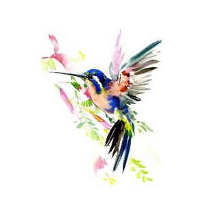 Правовая Фирма Колибри