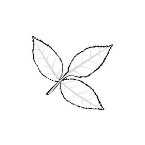 ТехИнноватор