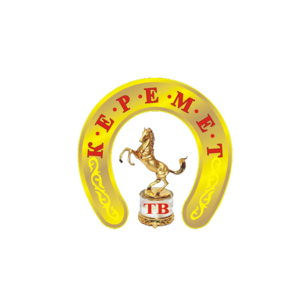 Телеканал Кeremet Тv