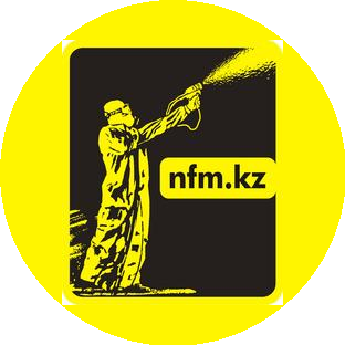 Национальный Центр Высоких Технологий и Энергосбережения (NFM Kazakhstan)