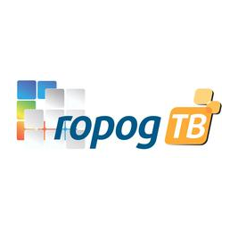 Первое Цифровое Телевидение