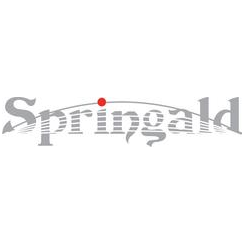 Управляющая компания Спрингалд