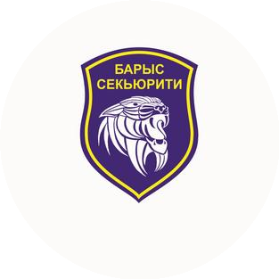 БАРЫС СЕКЬЮРИТИ
