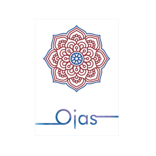 Гущин Владимир Игоревич