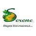 ���� Serene Pharma