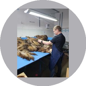 Мягкое золото