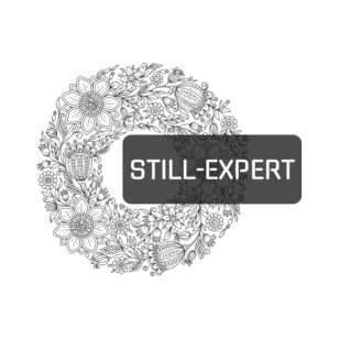 Still-expert