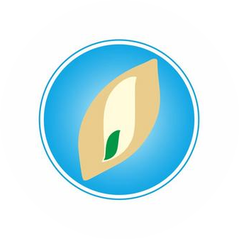 Ольгинская гимназия