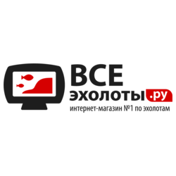 Лидер Ниши