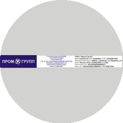 Пром-Групп