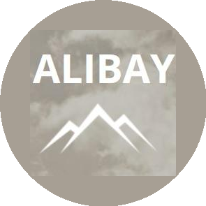 Alibay International