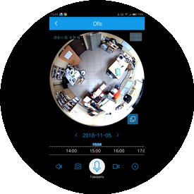 Пожспецохрансистем