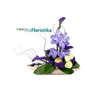 ПроФлористика