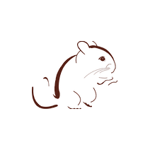 Мир Шиншилл