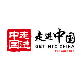 «Business Solutions Qazaqstan»