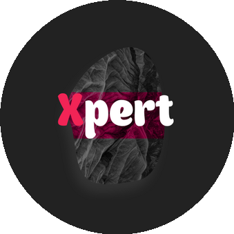 Xpert-studio