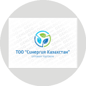 Синергия Казахстан