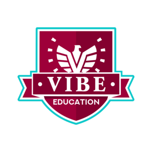 The Vibe Company