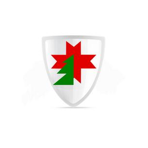 ЛесСпецСтрой