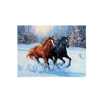 ГАУ НСО СШОР по конному спорту