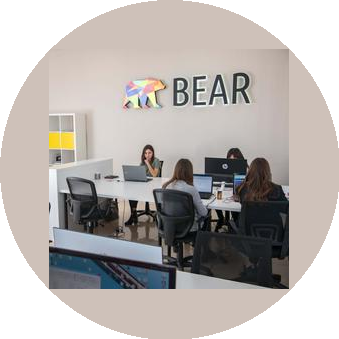BEAR Studio