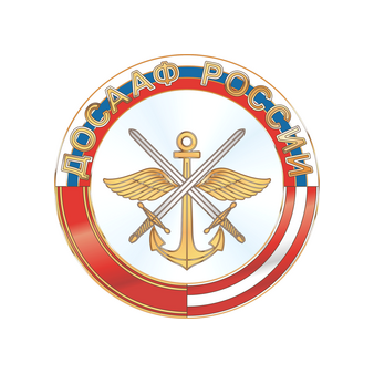 Челябинский областной аэроклуб ДОСААФ России